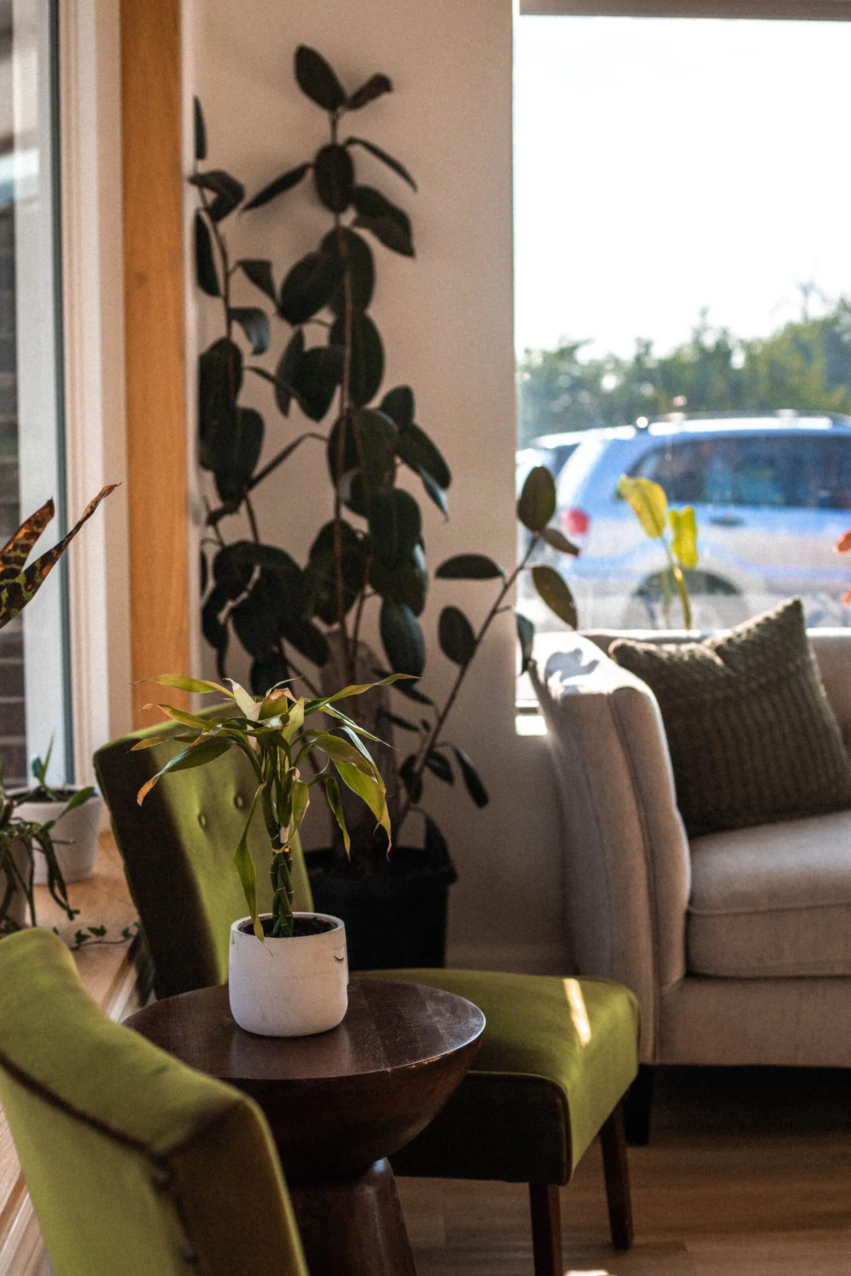 waiting-area-2-the-beauty-concept Seating area in front of large window with beige couch and indoor plants